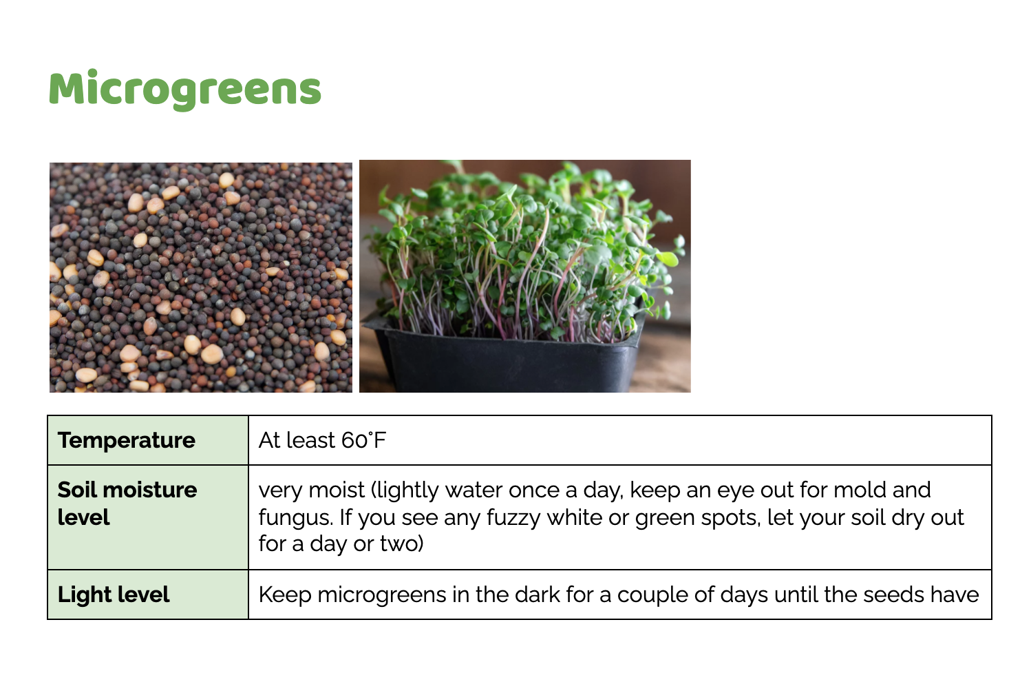 Cybergarden Plant Care Guide