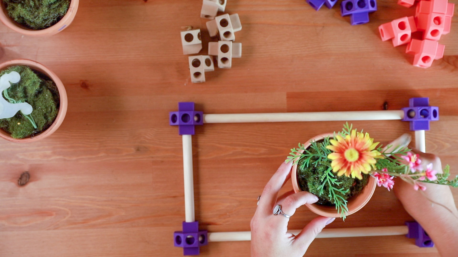 Make Your Own Greenhouse
